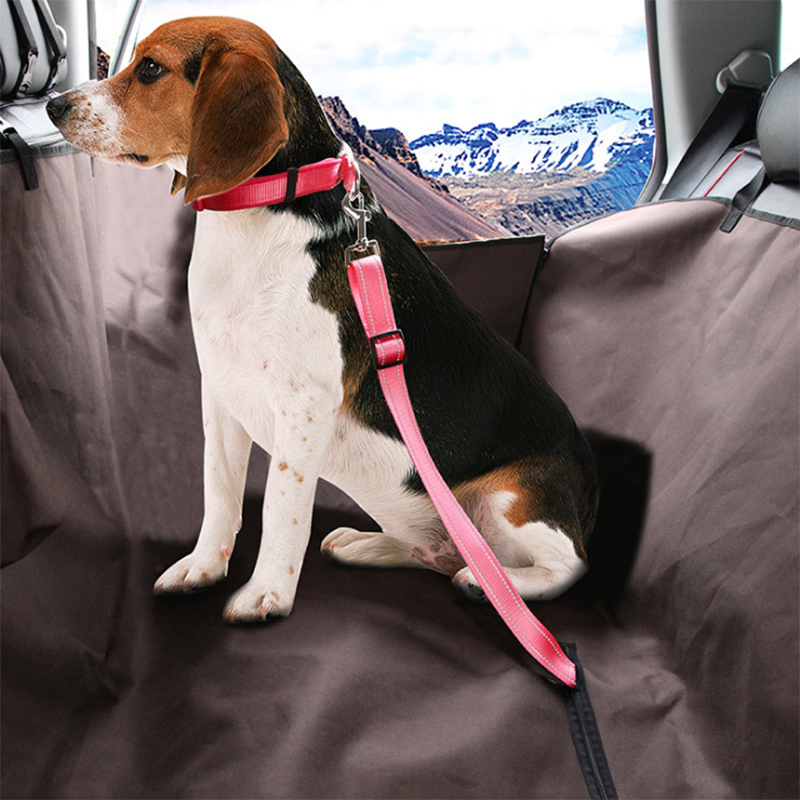 Pet Car Seat Belt